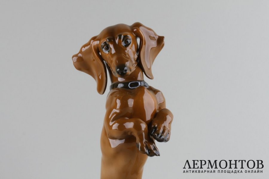 Статуэтка Такса. Фарфор.  Фабрика Rosenthal, Германия, 1950- е годы.
